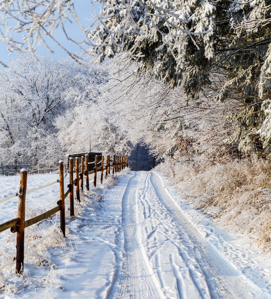 Gear Up For Winter