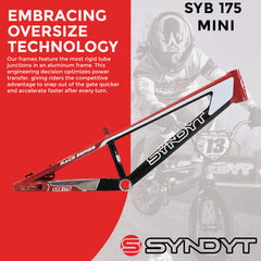 Syndyt 175 Mini BMX Racing Bike Frame – 17.5” Top Tube, 6061-T6 Aluminum (2.70 lbs), Tapered 38/42 Head Tube, Standard Euro BB, 10/15 mm Hubs, 140mm Disc Brake, Chain Tensioners – Red Bicycle Frame