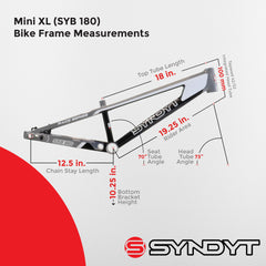 Syndyt 180 Mini XL BMX Racing Bike Frame – 18” Top Tube, 6061-T6 Aluminum (2.75 lbs), Tapered 38/42 Head Tube, Standard Euro BB, 10/15 mm Hubs, 140mm Disc Brake, Chain Tensioners – Gray Bicycle Frame