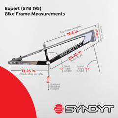 Syndyt 195 Expert BMX Racing Bike Frame – 19.5” Top Tube, 6061-T6 Aluminum (2.98 lbs), Tapered 38/42 Head Tube,Standard Euro BB, 10/15 mm Hubs, 140mm Disc Brake, Chain Tensioners Gray Bicycle Frame