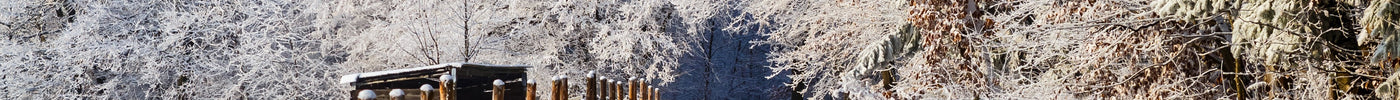 Gear Up For Winter