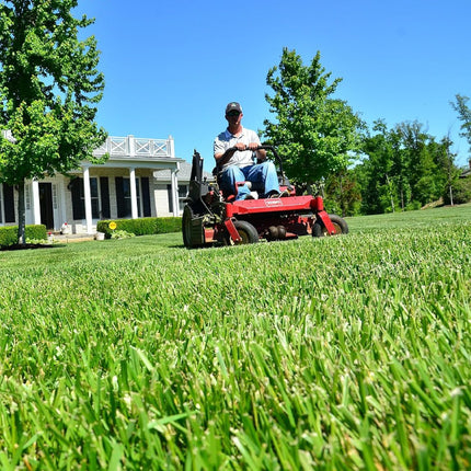 MASSFX 16x6.5-8 Go-Kart Tires 4ply 2 Pack