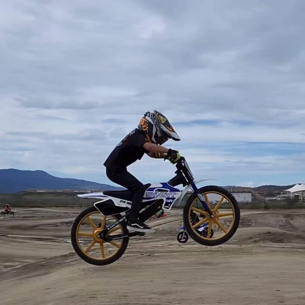 SYNDYT SYR 120 12" Electric Balance Bike for Kids Ages 3-5, 24V 10Ah Battery, 250W Motor, 5/8/12 MPH Speed Settings, Rear Disc Brake, MX-Style Foot Pegs, 12" Alloy Wheels, Lavender/White