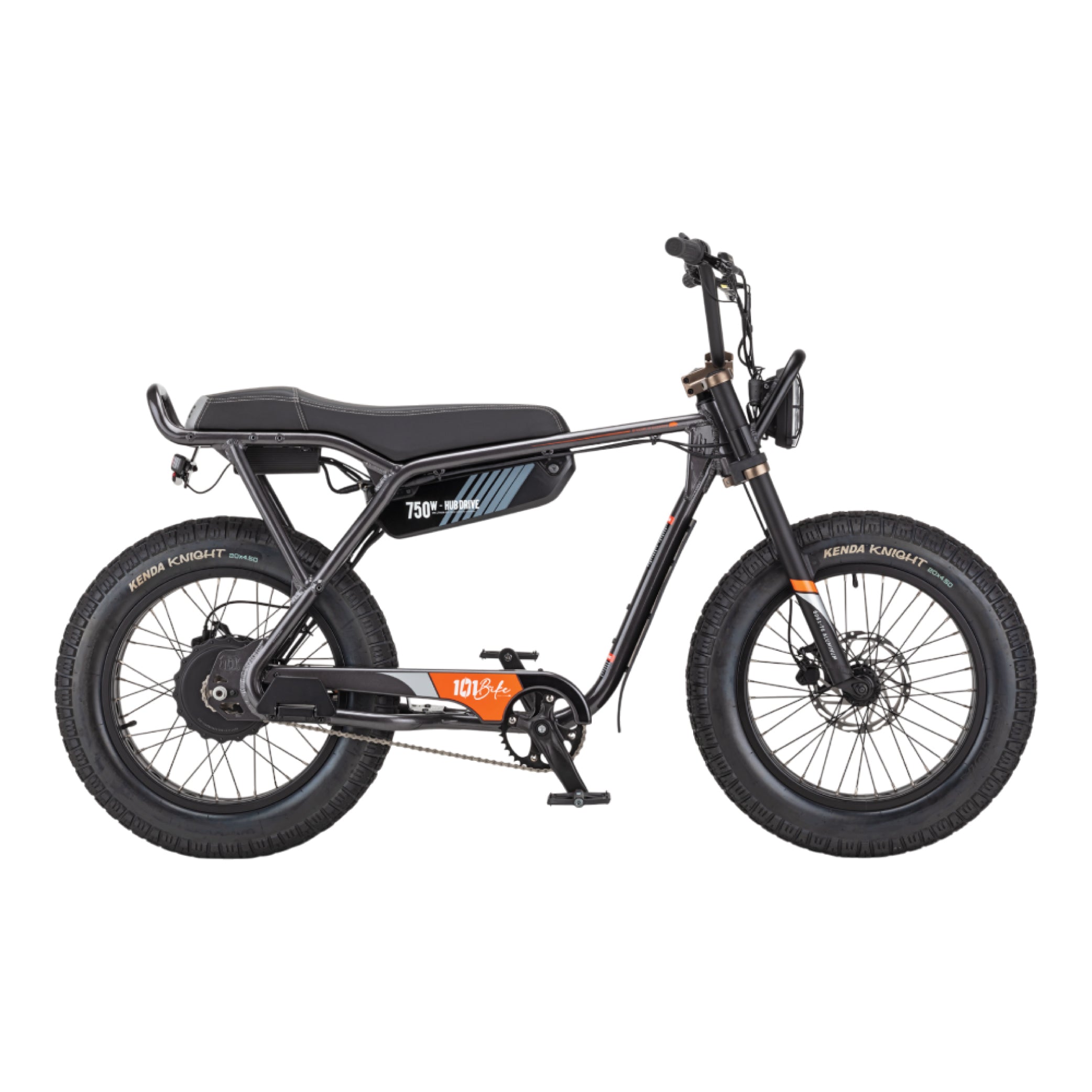 electric bicycle adult 101 Bike Seaside Electric Bike 750W High-Torque Motor, Adult Step-Thro – Mass Depot