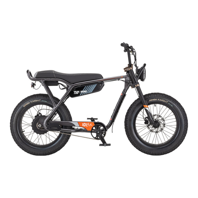 101 Bike Seaside Electric Bike 750W High-Torque Motor, Adult Step-Through E-Bike with Pedal Assist & Throttle, Front Suspension, Disc Brakes, All-Terrain Tires, Commuter & Beach Cruiser E-Bicycle