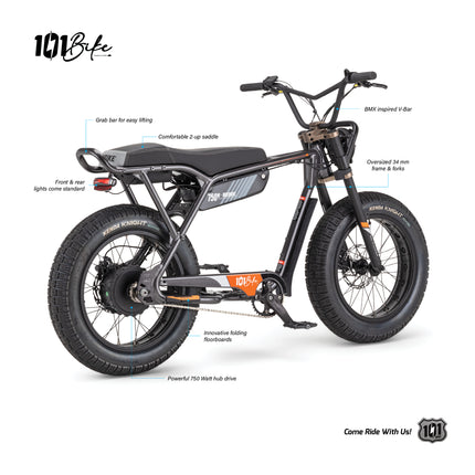 101 Bike Seaside Electric Bike 750W High-Torque Motor, Adult Step-Through E-Bike with Pedal Assist & Throttle, Front Suspension, Disc Brakes, All-Terrain Tires, Commuter & Beach Cruiser E-Bicycle