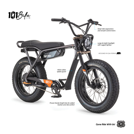 101 Bike Seaside Electric Bike 750W High-Torque Motor, Adult Step-Through E-Bike with Pedal Assist & Throttle, Front Suspension, Disc Brakes, All-Terrain Tires, Commuter & Beach Cruiser E-Bicycle