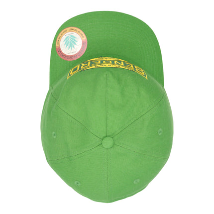 Sendero Provisions Co. OLD SCHOOL GREEN Snapback Hat –One Size