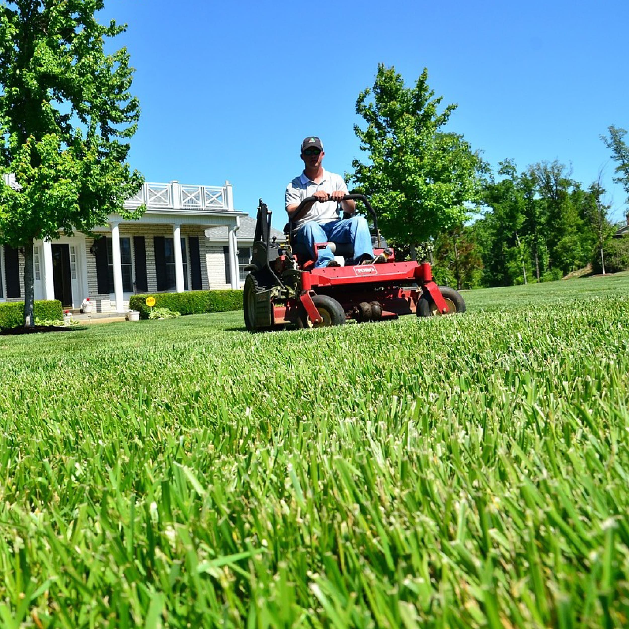 4 New MASSFX Lawn Mower Tires 16x6.5-8 & 22x9.5-12 4 PLY 4 Pack Lawn & Garden