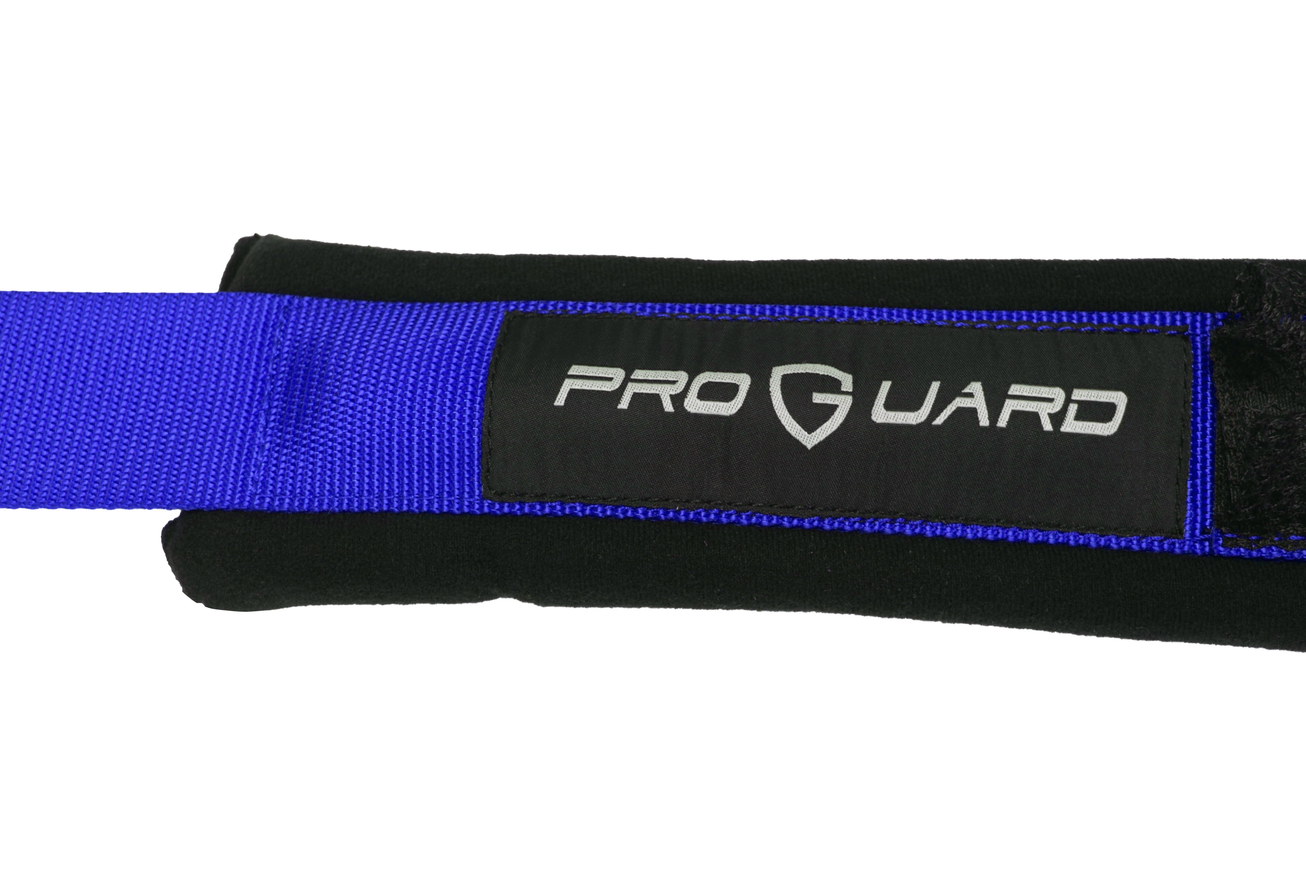 PROGUARD Blue 4 Point Harness 2" Straps Universal UTV Off-Road Harness