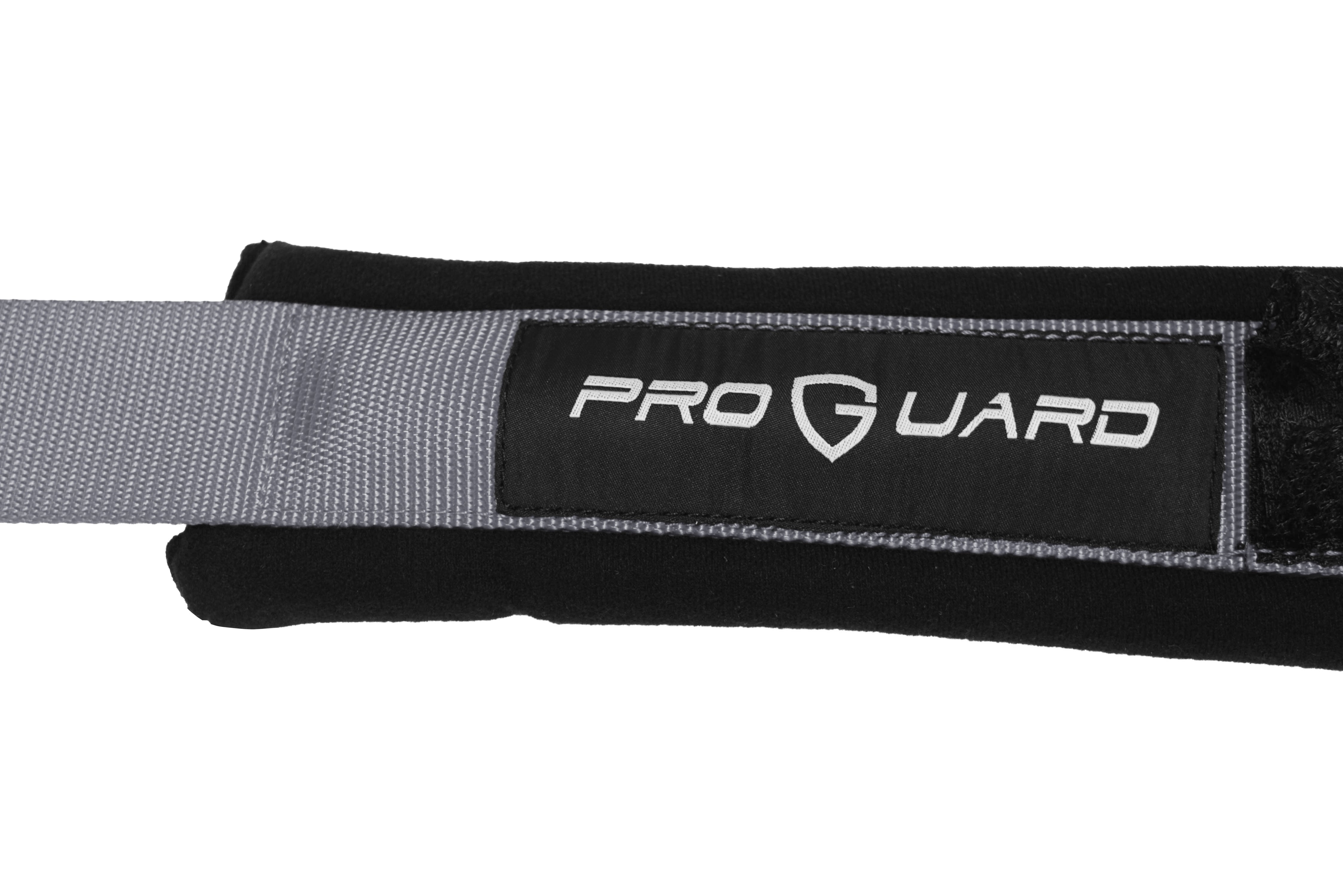 ProGuard Gray 5 Point Universal Off-Road Harness 2" Straps 2pk w/ Bypass Clip