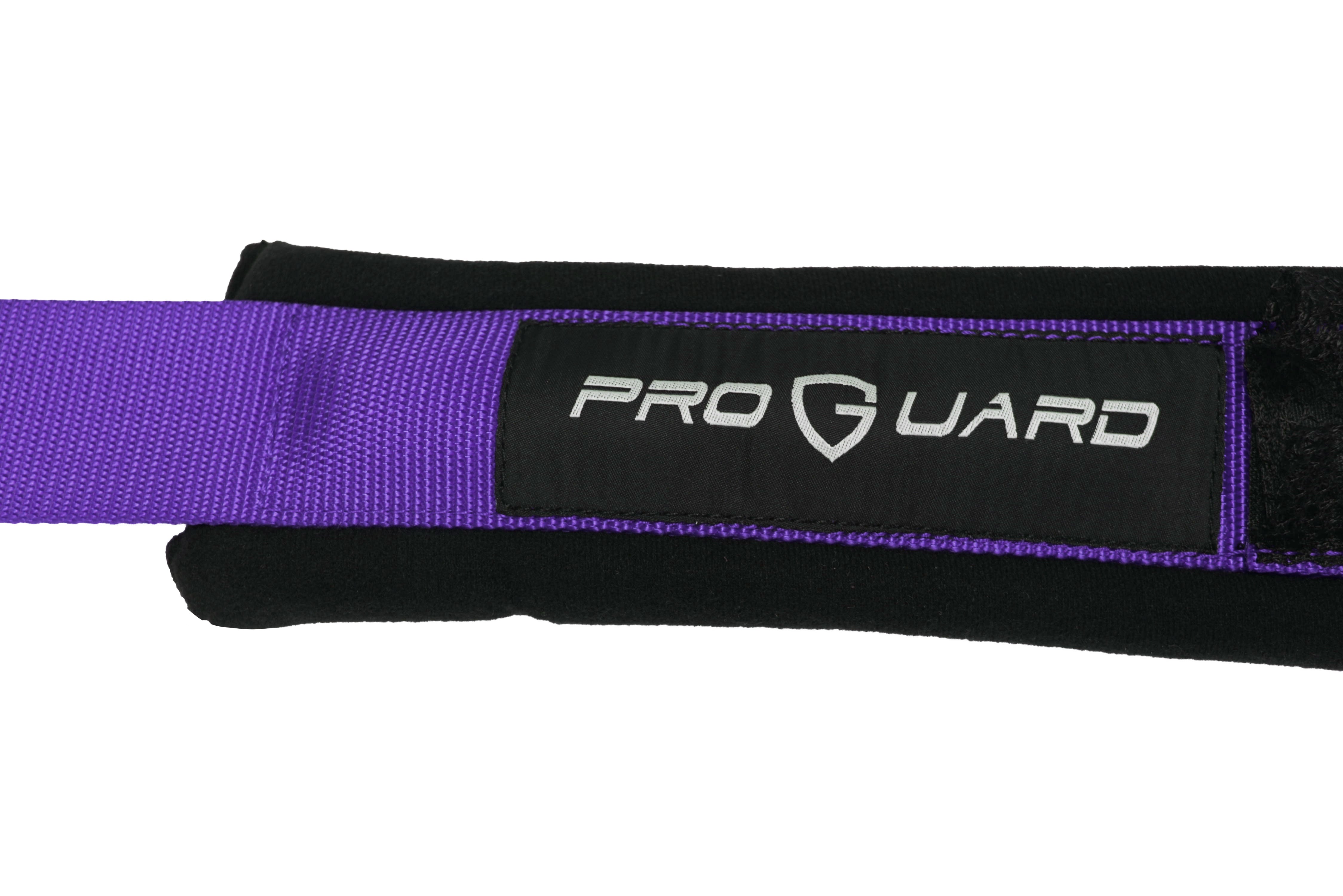 ProGuard Offroad Harnesses 2-Pack Purple w/ 2" Nylon Straps, 5 Points of Contact