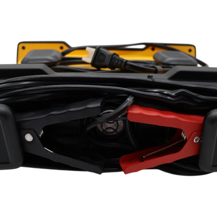 DeWalt DXAEC100 Professional 30 Amp Battery Charger, Battery Maintainer, Battery Trickle Charger