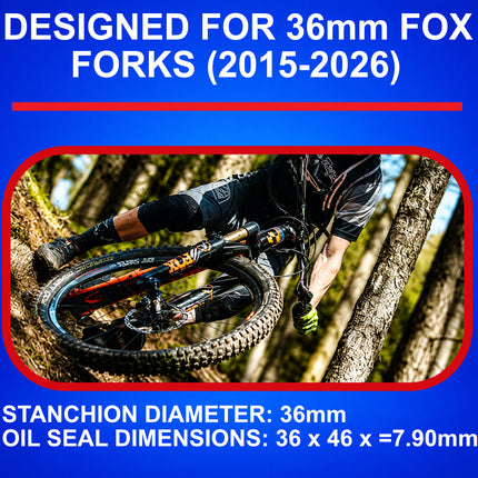 SKF MTB36FN Fork Seal Kit for Fox 36mm Mountain Bike Suspension 15-26 Fits Fox 36 mm (Model Years 2015-2026), Premium Low Friction Oil Seals, Wiper Kit, Mountain Bike MTB Cycling Front Fork.