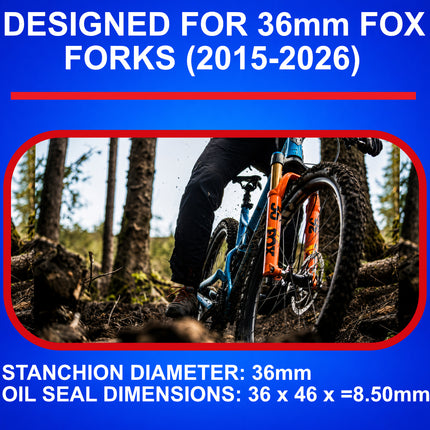 SKF MTBDUAL-36FN Dual Compound Seal Kit for Fox 36mm Mountain Bike Dual-Compound Design, Fits Fox 36 mm, Ultimate Sealing Power, Low Friction Oil Seals, Mountain Bike MTB Cycling Fork.