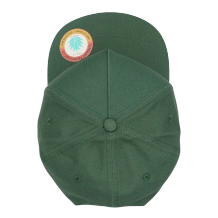 Sendero Bird Hunter Hat - Snapback - Green
