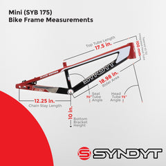 Syndyt 175 Mini BMX Racing Bike Frame – 17.5” Top Tube, 6061-T6 Aluminum (2.70 lbs), Tapered 38/42 Head Tube, Standard Euro BB, 10/15 mm Hubs, 140mm Disc Brake,  Chain Tensioners – Red Bicycle Frame