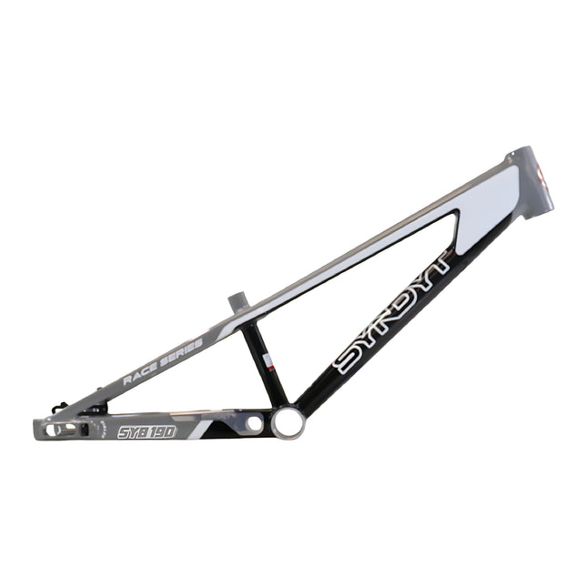 Syndyt 190 Junior XL BMX Racing Bike Frame – 19” Top Tube, 6061-T6 Aluminum (2.86 lbs), Tapered 38/42 Head Tube,Standard Euro BB, 10/15 mm Hubs, 140mm Disc Brake,  Chain Tensioners  Gray Bicycle Frame