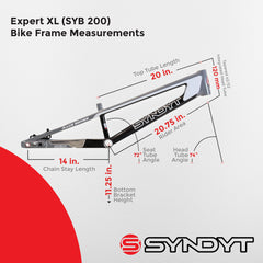 Syndyt 200 Expert XL BMX Racing Bike Frame – 20” Top Tube, 6061-T6 Aluminum (3.08 lbs), Tapered 38/42 Head Tube, Standard Euro BB, 10/15 mm Hubs, 140mm Disc Brake, Chain Tensioners  Gray Bicycle Frame