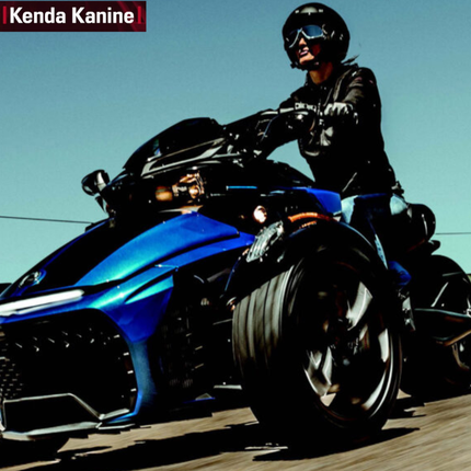 Kenda Kanine KR20 145/60R16 66T 4-Ply Front Tire (KBO-001 04KR2001), Radial Tubeless Tire for Can-Am Spyder and Three-Wheeled Autocycle Applications, DOT and E-Mark Approved, Includes Keychain